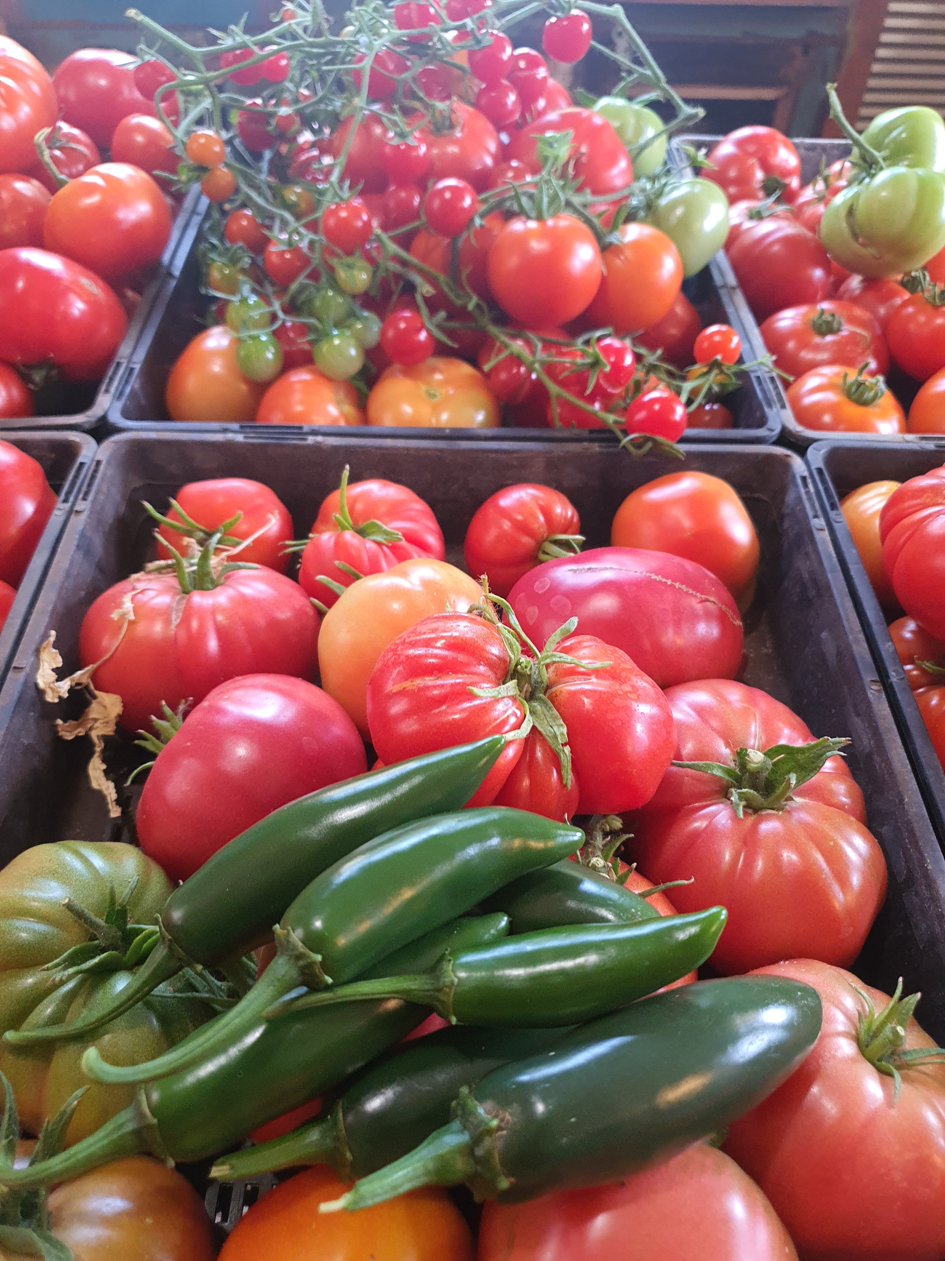 Design Your Own Smart Garden - Foundation Course