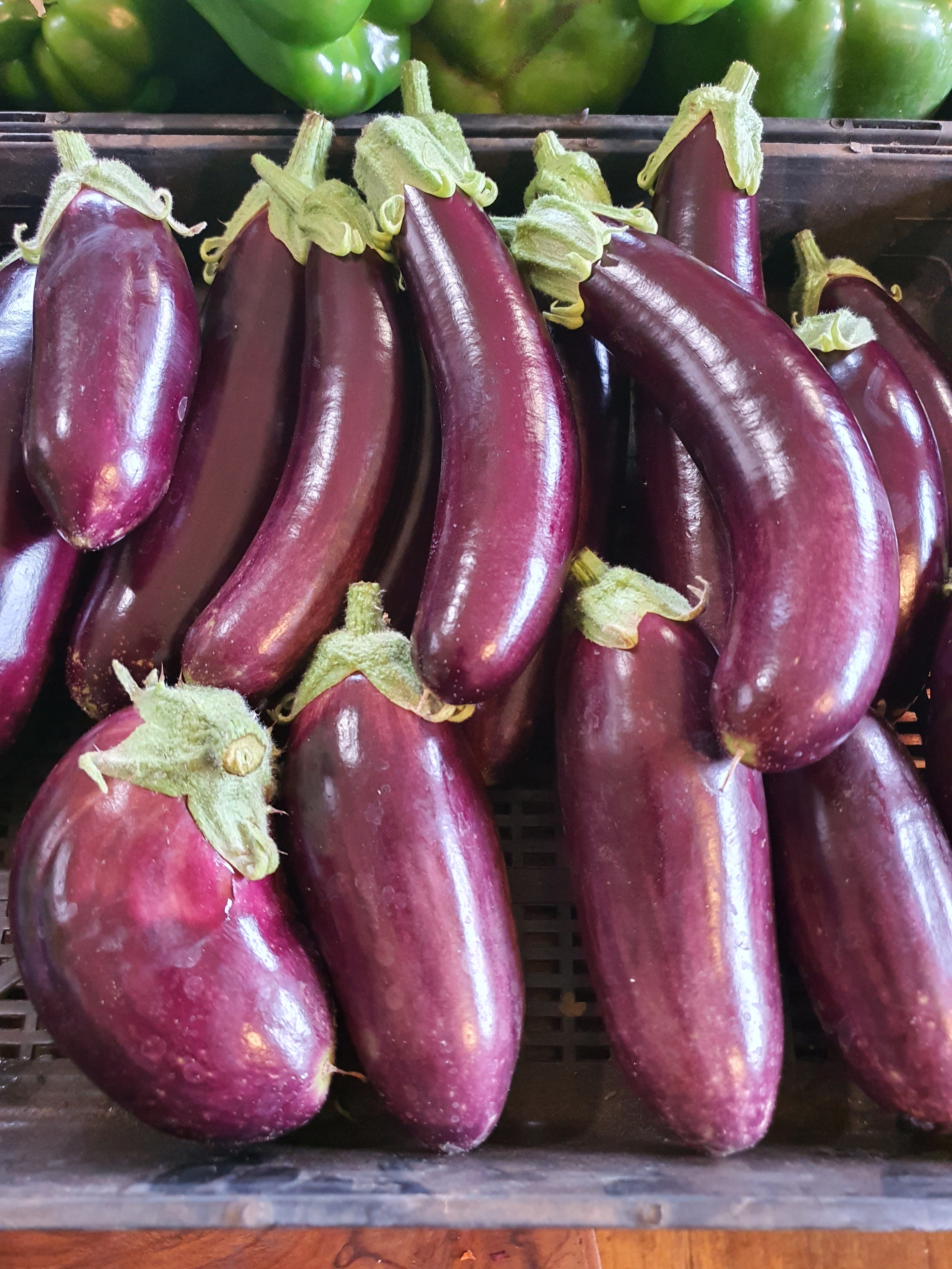 Design Your Own Smart Garden - Foundation Course