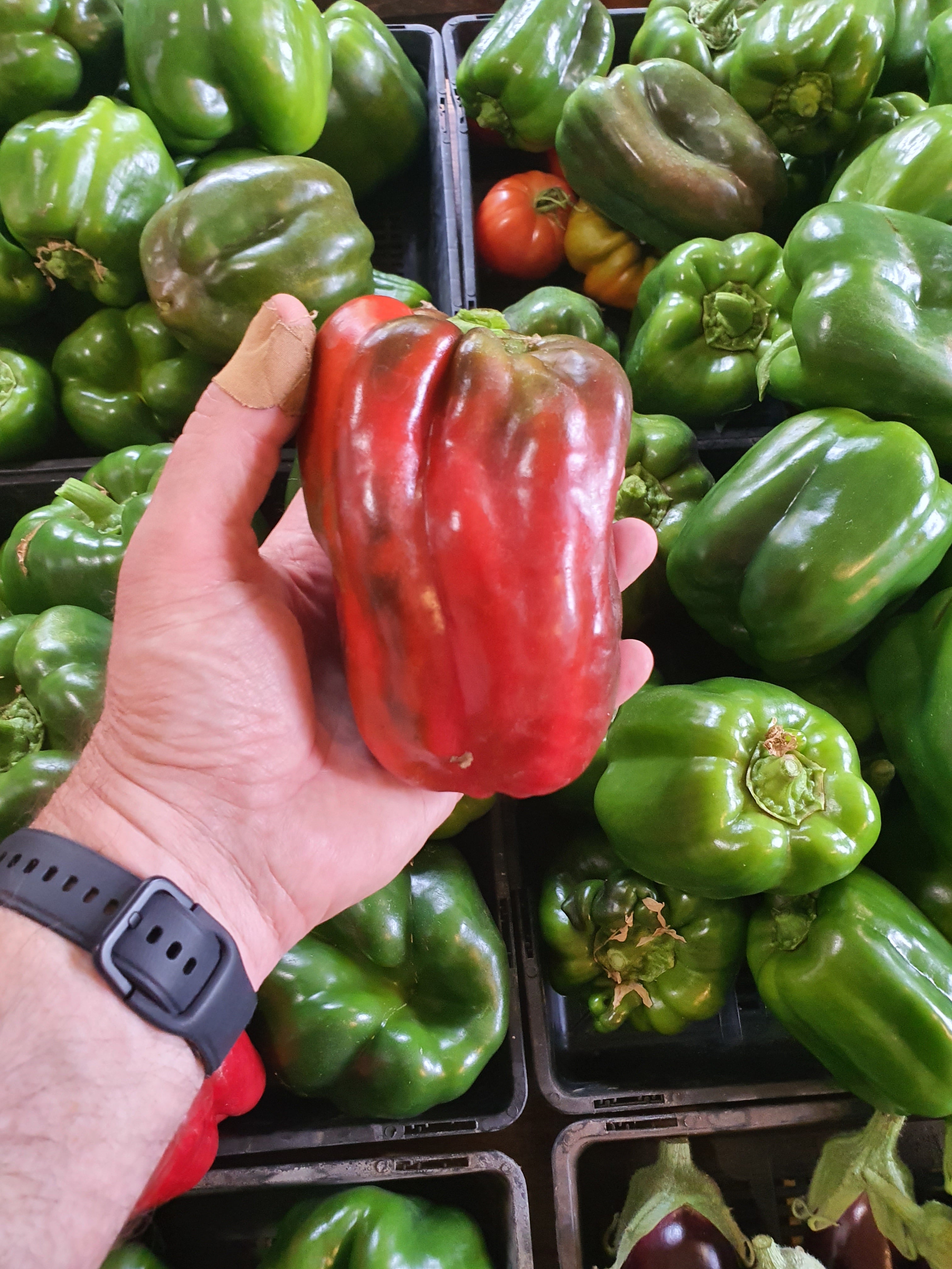 Design Your Own Smart Garden - Foundation Course