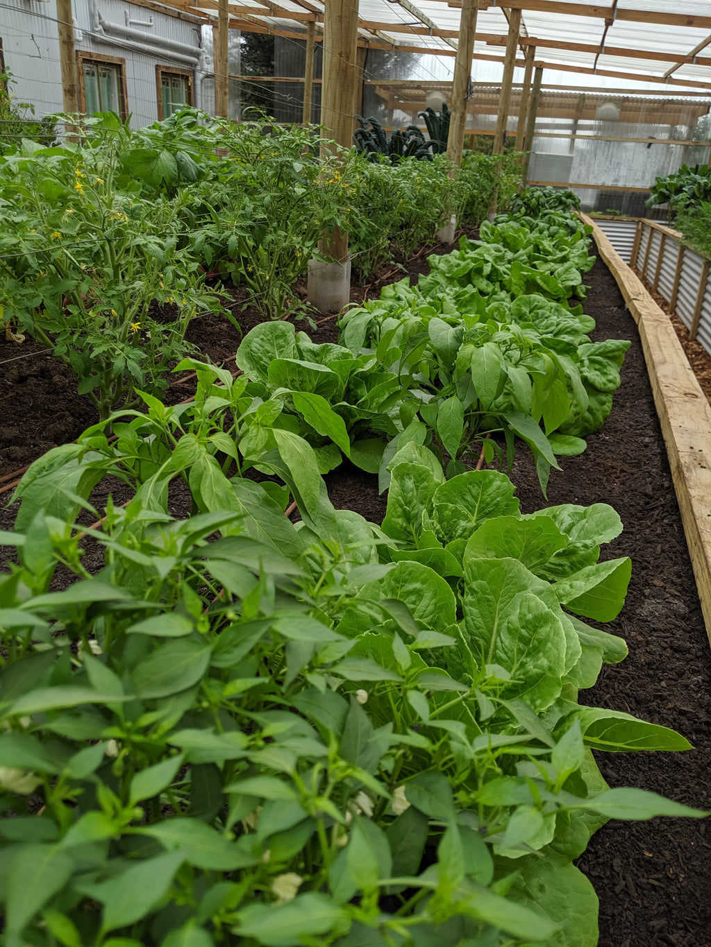 Design Your Own Smart Garden - Foundation Course